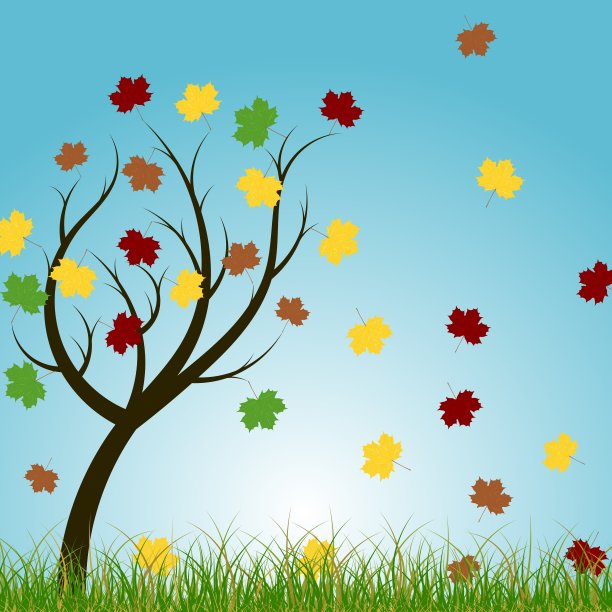 秋天的树图片下载