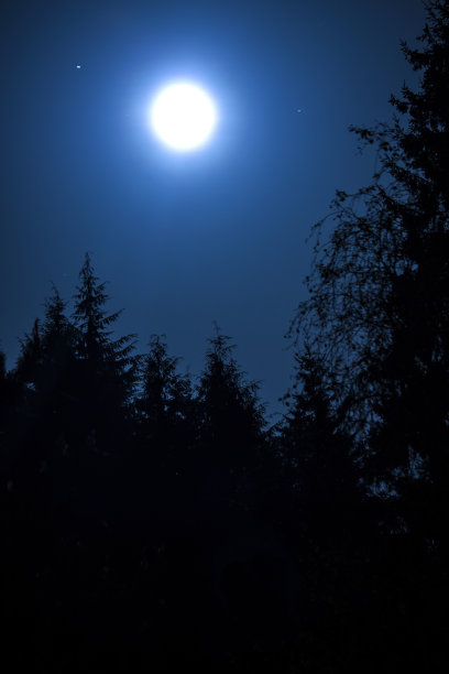 满月升起图片下载