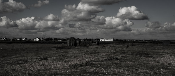 邓杰内斯海滩图片下载