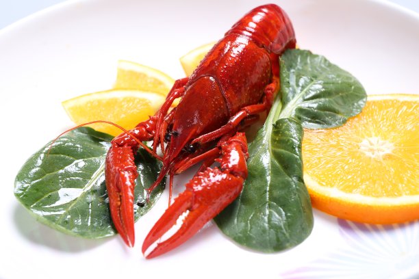龙虾图片下载