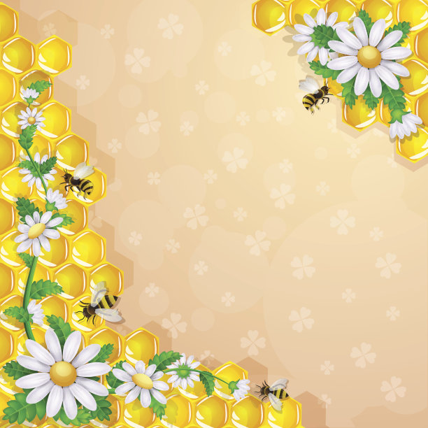 蜜蜂和花和蜂巢图片下载