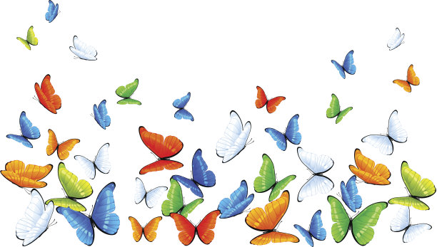 白色背景上的蝴蝶图片下载