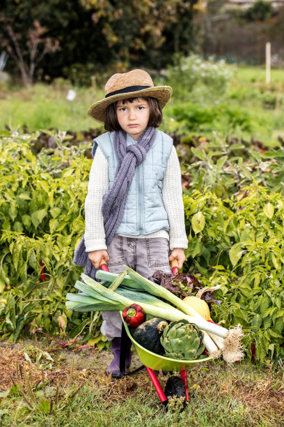 不快乐的小园丁推着小推车的蔬菜为健康的饮食图片下载