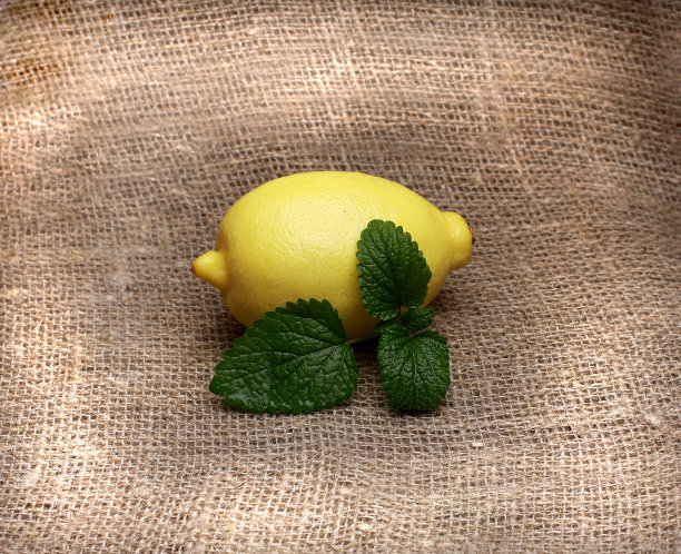 柠檬黄和薄荷在孤立的背景图片下载