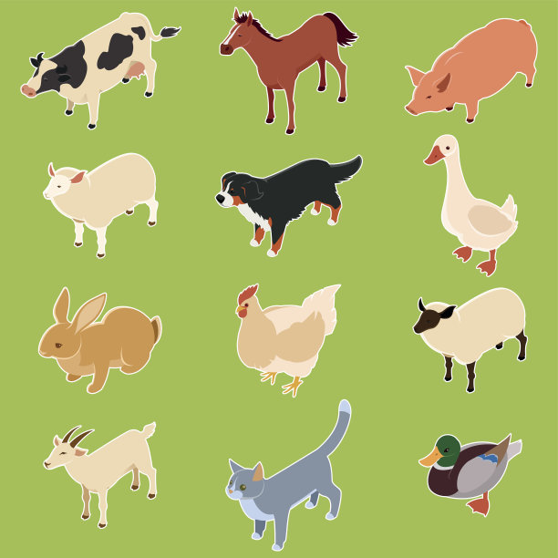 国内等距的动物图片下载