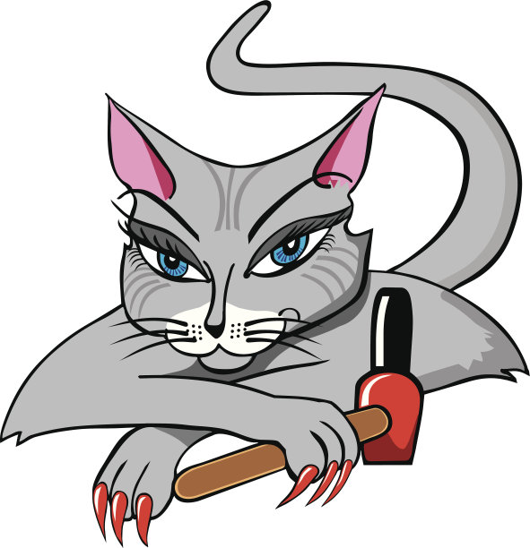 美容师的猫图片下载