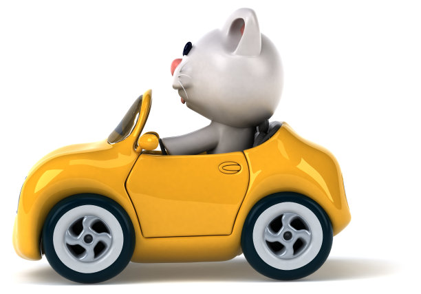 有趣的猫素材图片