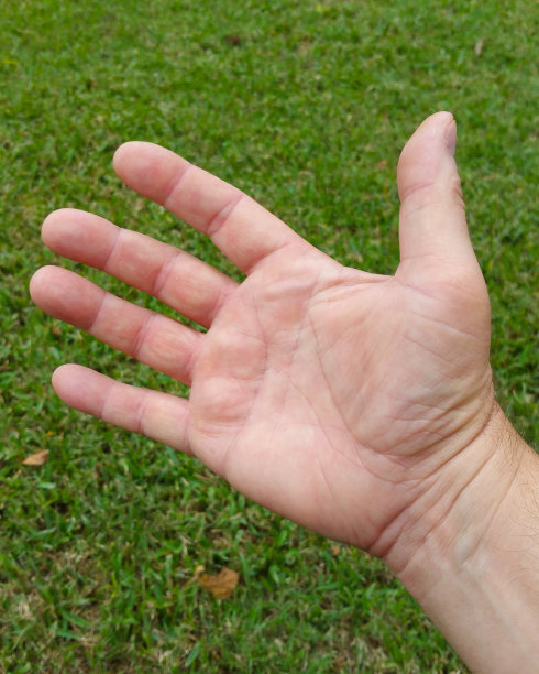 成年男人的手 - 素材图片图片下载