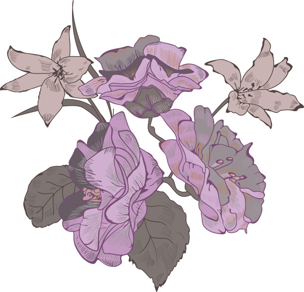 花束矢量图图片下载