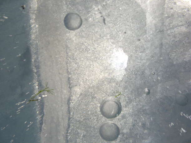 冰冻的图案图片下载