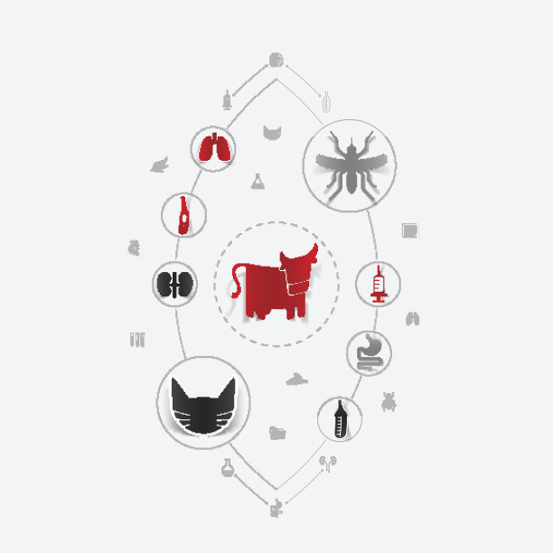 一套兽医图标图片下载