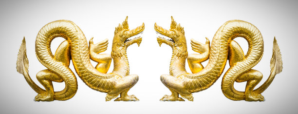 金龙孤立于白龙之上图片下载