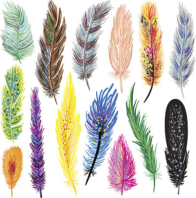 羽毛收集图片下载