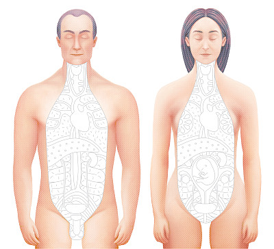 图解手绘切除的解剖模型与概述图片下载