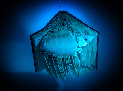 在水族馆的水下日记图片下载