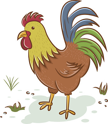 美丽的公鸡字符图片下载