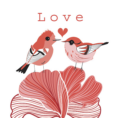 爱情鸟图片下载