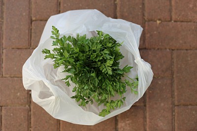 塑料袋里的欧芹图片下载