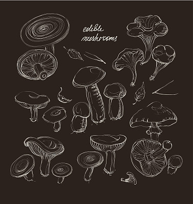 矢量手绘制一组蘑菇图片下载
