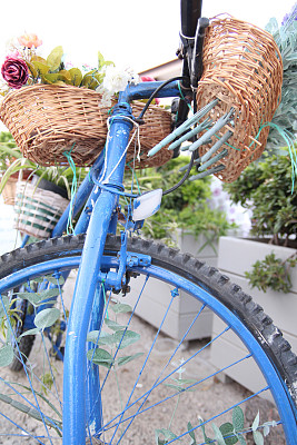 自行车图片下载