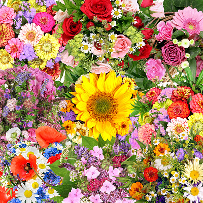 背景与花束图片下载