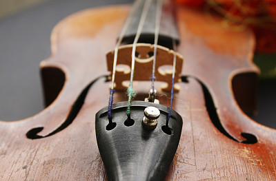 漂亮的小提琴图片下载