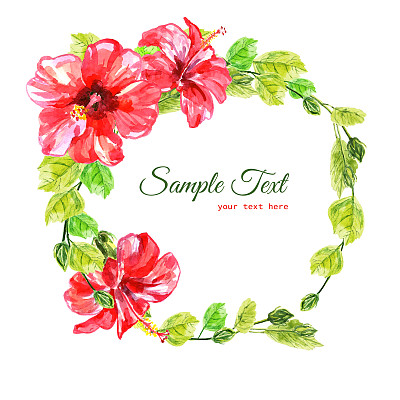 框架从红色水彩芙蓉花图片下载