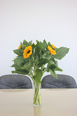 桌上放着一束向日葵图片下载