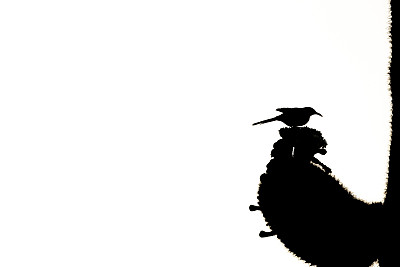 脱粒机轮廓图片下载