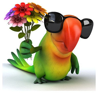 有趣的鹦鹉图片下载