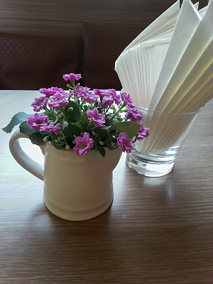 花瓶中的花图片下载