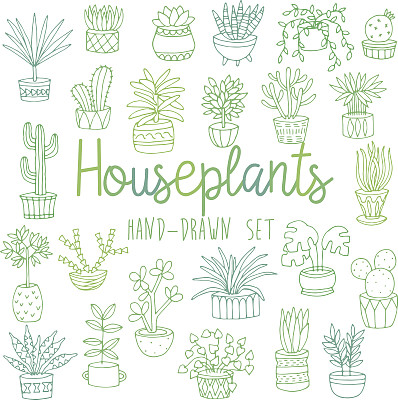 手绘线套室内盆栽盆栽图片下载