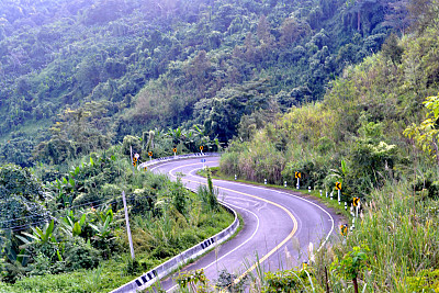 雨林和一条土路图片下载