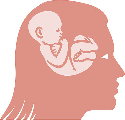 婴儿的大脑图片下载