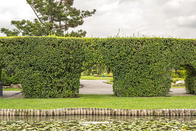 公园、花园的装饰图片下载