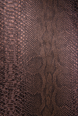 青铜蛇纹仿品，背景图片下载