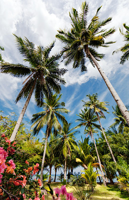 天堂的另一天图片下载