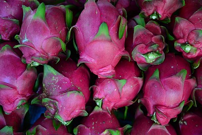 龙的水果图片下载