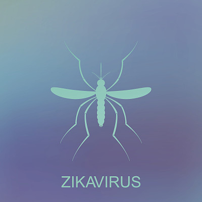 Zika病毒蚊子。病毒警报。埃及伊蚊被隔离在蓝色图片下载