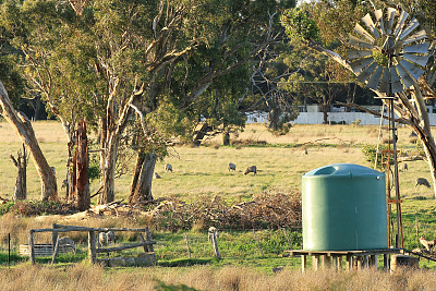 澳大利亚吉普斯兰的牧羊场图片下载