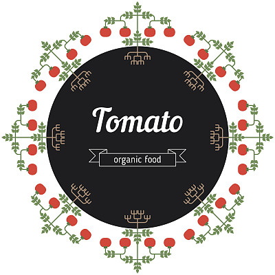 番茄蔬菜插图。图片下载