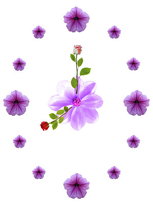 白色背景上的花钟图片下载