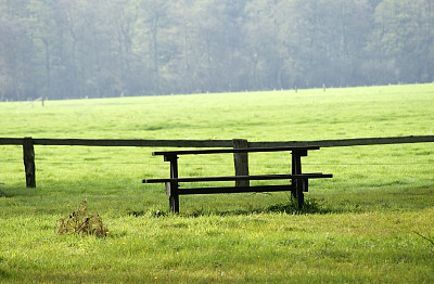 野餐长凳图片下载