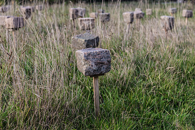 的危险领域图片下载
