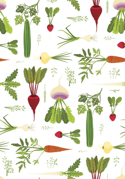 叶蔬菜和绿色无缝模式背景图片下载