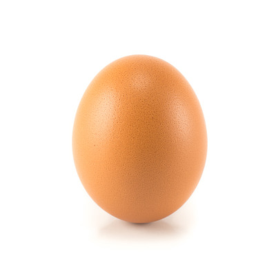 一个单独的棕色鸡蛋分离在白色上图片下载