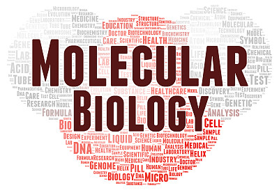 分子生物学字云形状图片下载