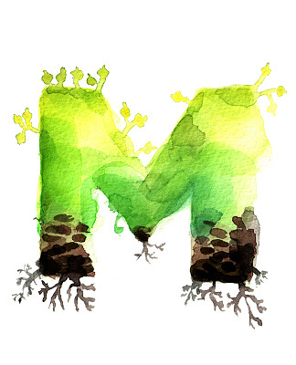 手绘水彩字母M图片下载