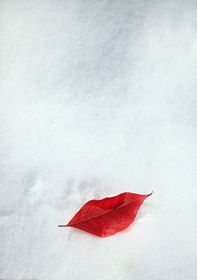 红色的飞跃图片下载