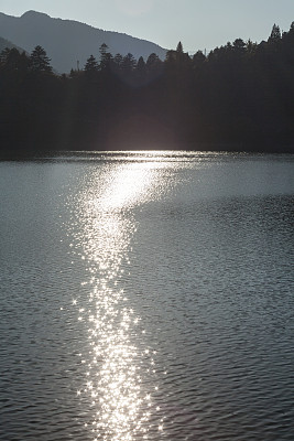 湖水上的光反射图片下载